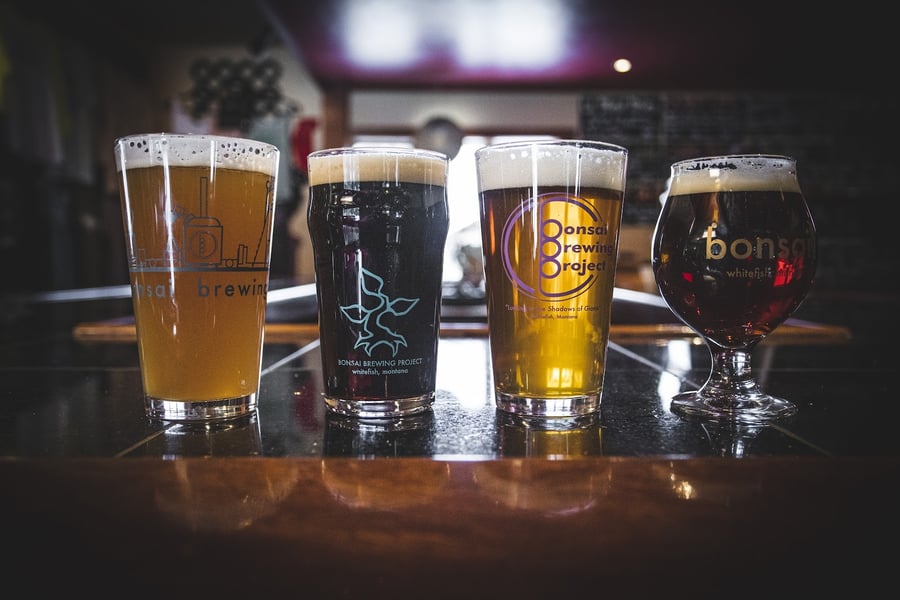 Bonsai Brewing Project