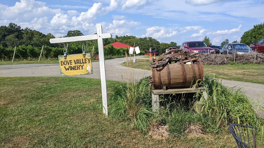 Dove Valley Vineyard