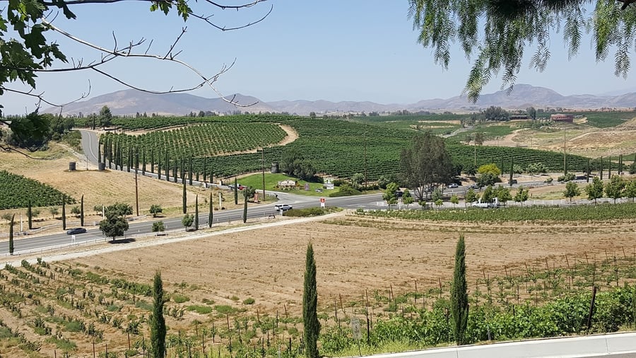 Bel Vino Winery