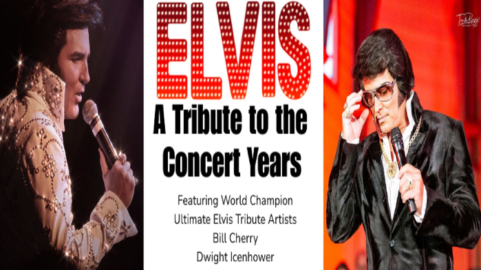 Elvis: A Tribute To The Concert Years