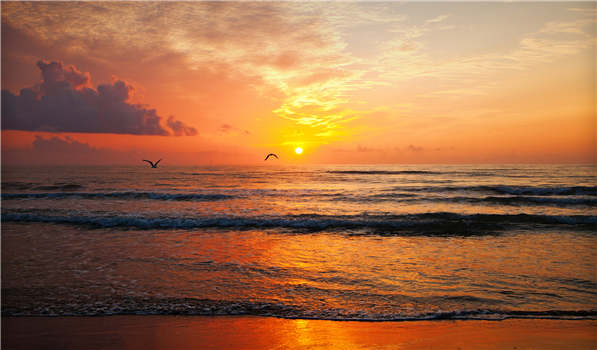 Phil Wickham, Charity Gayle, Josh Baldwin & Benjamin William Hastings - Reno, NV