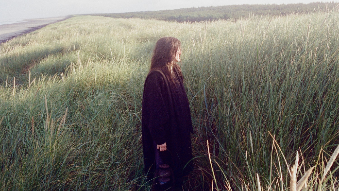 Searows: Death in the Business of Whaling