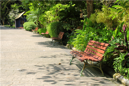 Tomato Sandwich Party