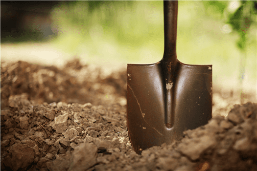 Stream Team Leader Training (VIRTUAL)