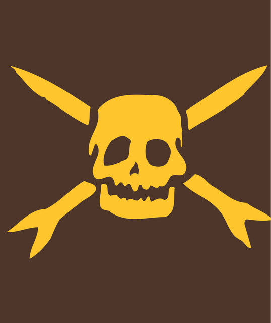 Teenage Bottlerocket