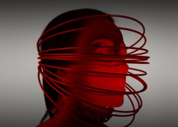 Wonder What's Next - Tennessee's Chevelle Tribute