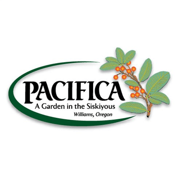 Pacifica Harvest Faire