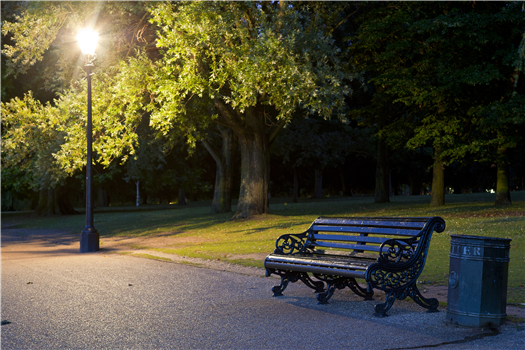 Ambler in Bloom 2025