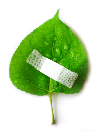 Turn Clutter into Creativity at Junk Journaling Journey