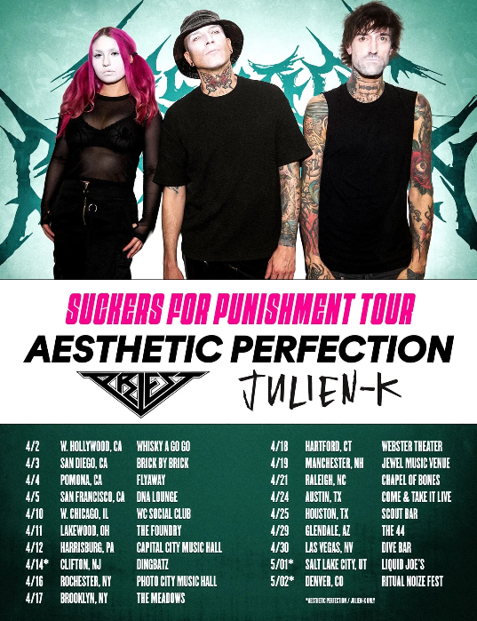 AESTHETIC PERFECTION | JULIEN K