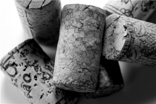 Over the Barrel 2025