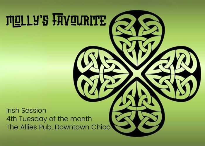 Molly's Favourite | Irish Session at The Allies Pub