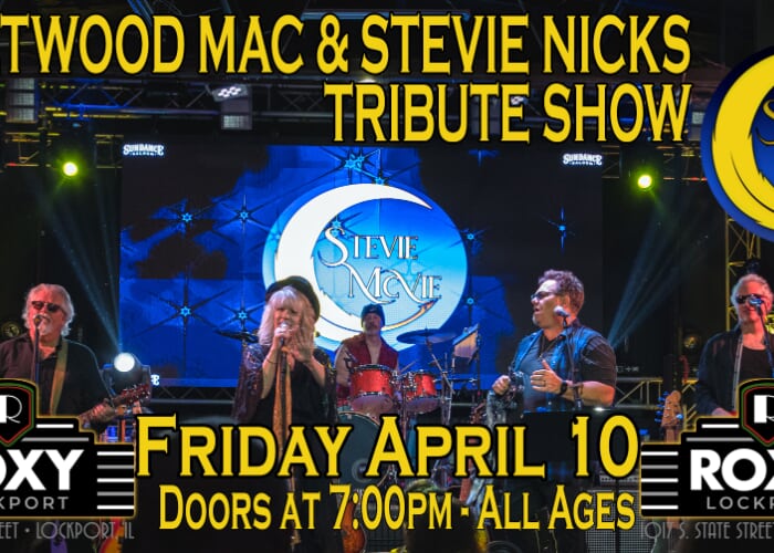 Fleetwood Mac & Stevie Nicks Tribute - Stevie McVie