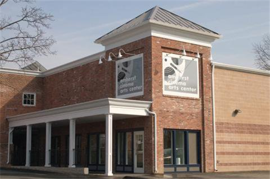 The Last Waltz (Sound and Vision)