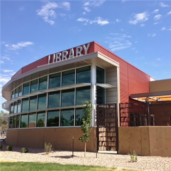 Infant and Toddler Storytime