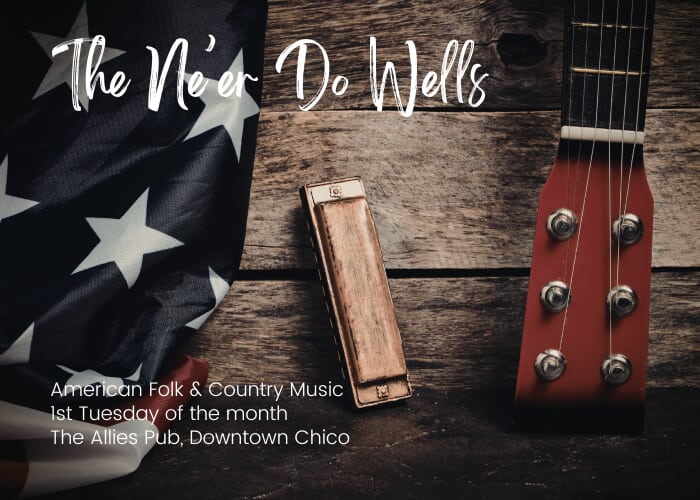 The Ne'er Do Wells | American Folk & Country Music | Live at The Allies Pub