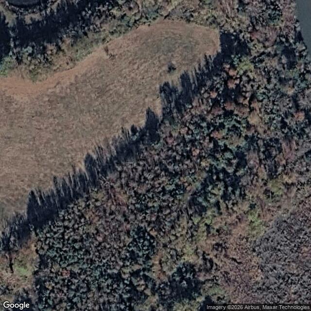 Wildflower Revival LIVE at Cult