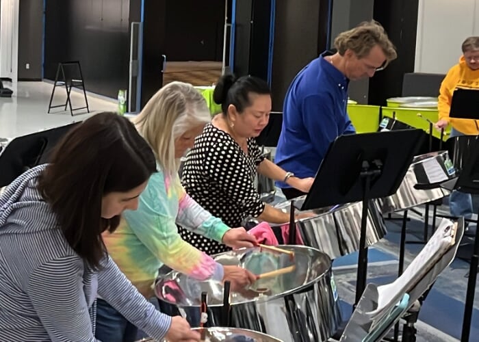 Beginner Steelpan Classes