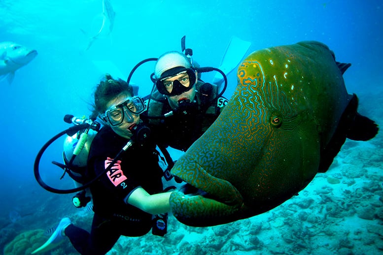 Best Places for Scuba Diving In Andaman