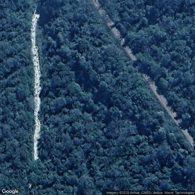 FORESTACIONES DEL NEA S.R.L