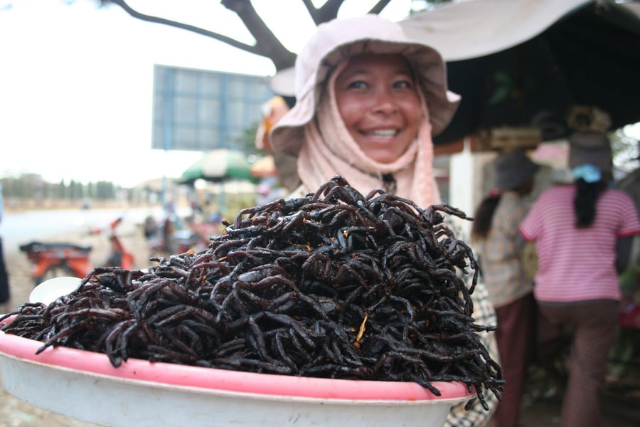 Deep fried spiders