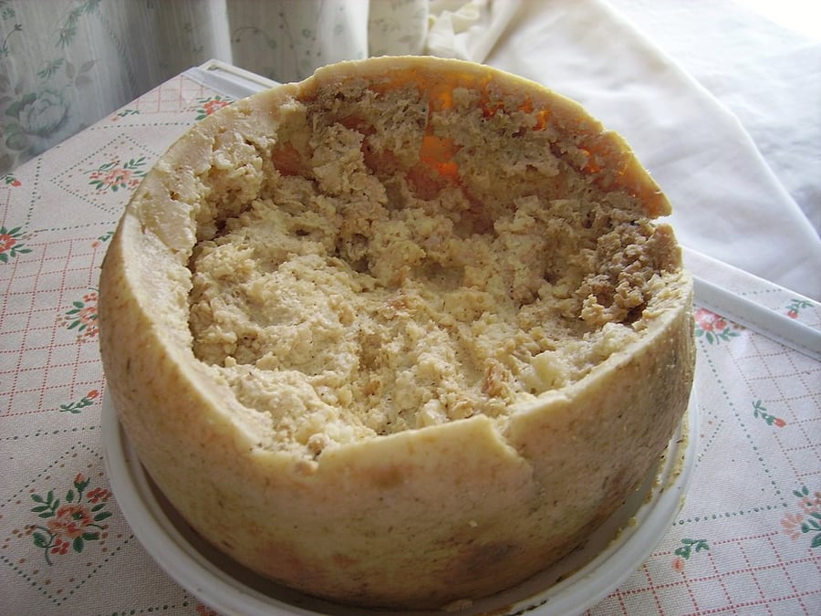 Casu Marzu - a mature cheese infested with worms