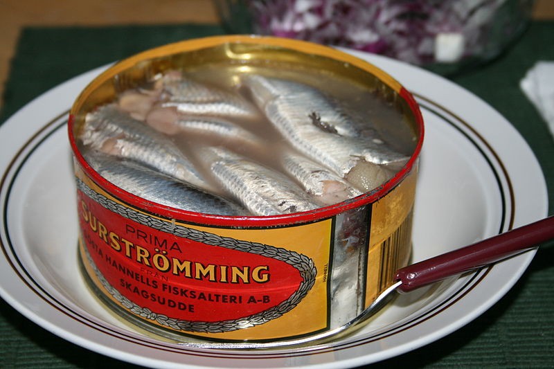 Surströmming - stinking herring