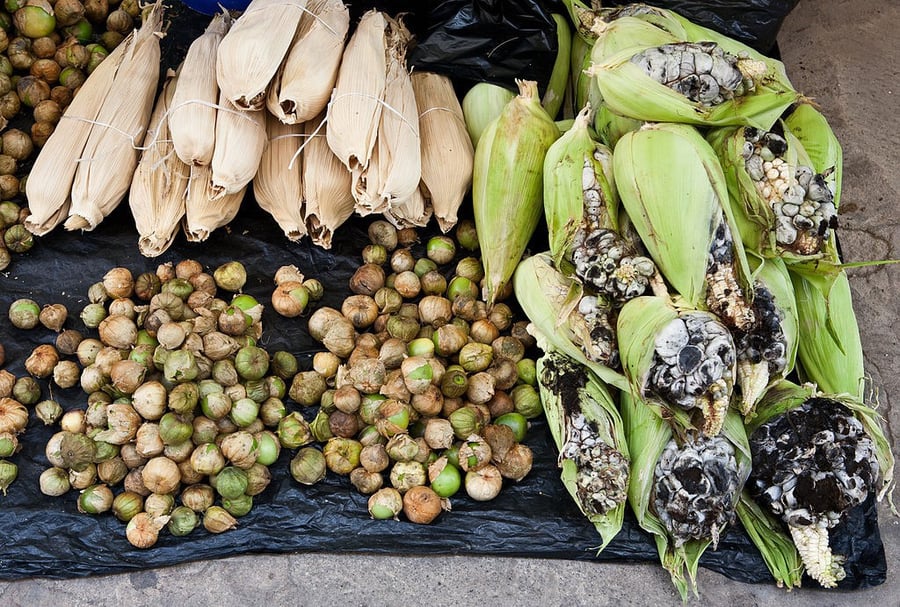 Huitlacoche