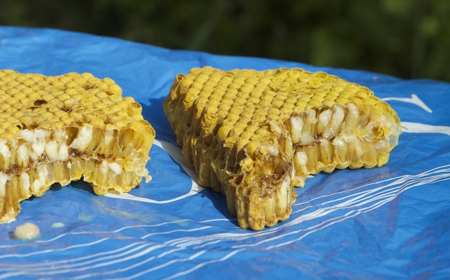 Grilled Bee Honeycomb With Larvae