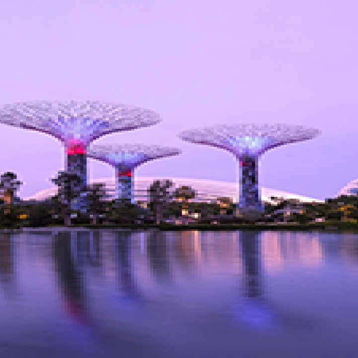 Silver Garden