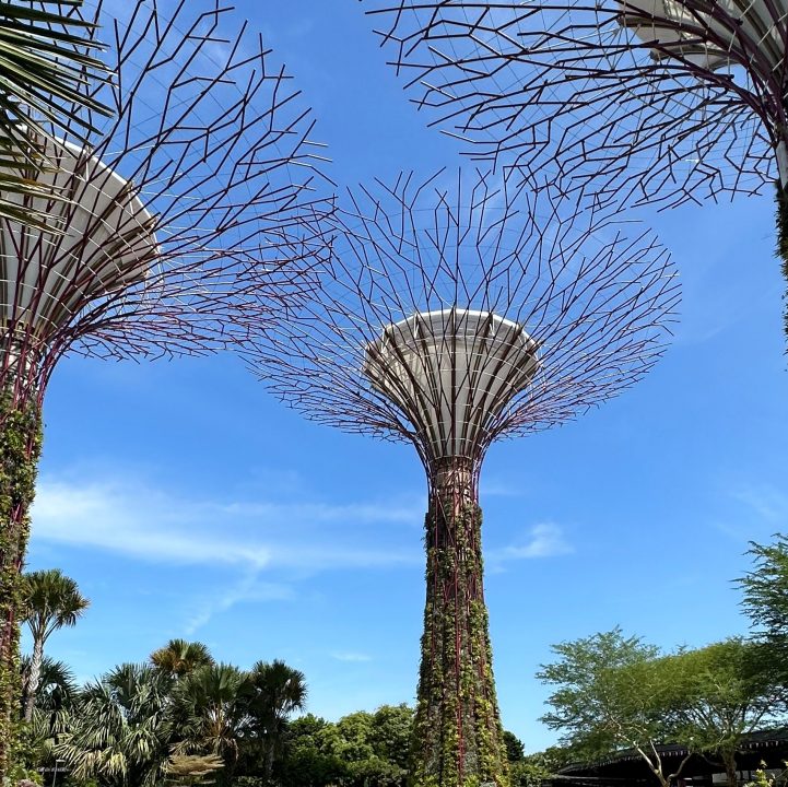 Golden Garden