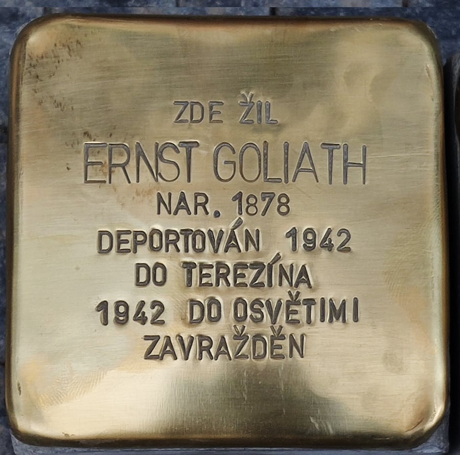 GOLIATH ERNST 