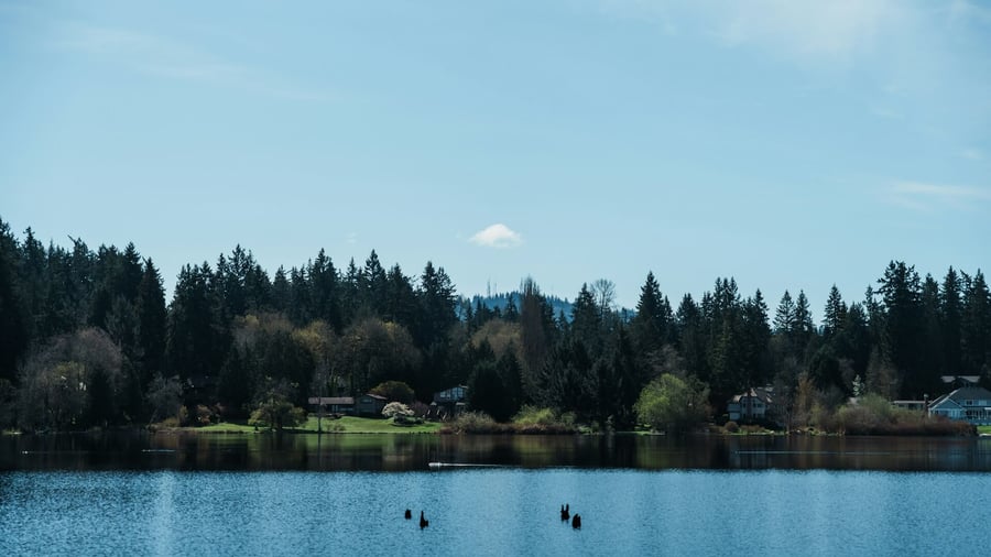 Angle Lake Park
