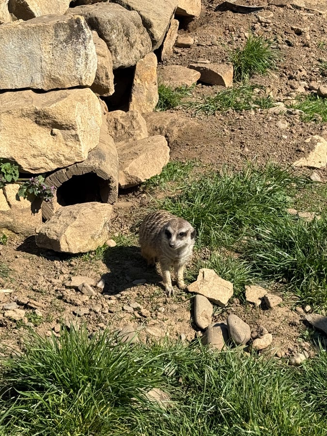 Zoopark Zelčín