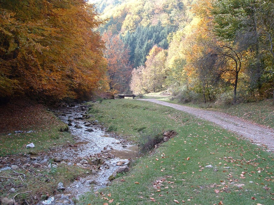 Valea Boiului