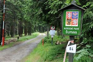 narodní park šumava