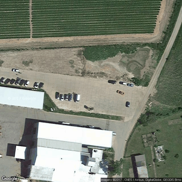 Samosběr jahod Piletice