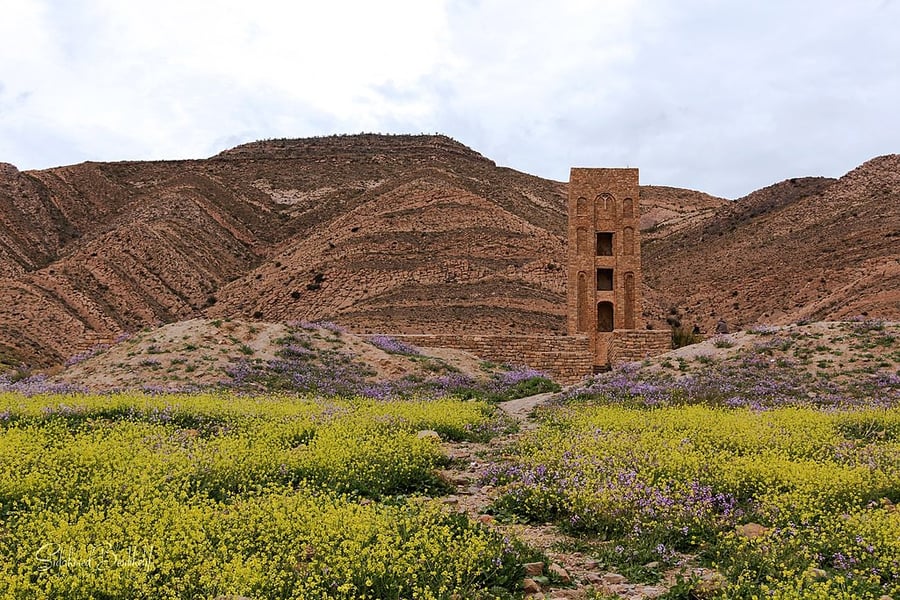Al Qal'a of Beni Hammad