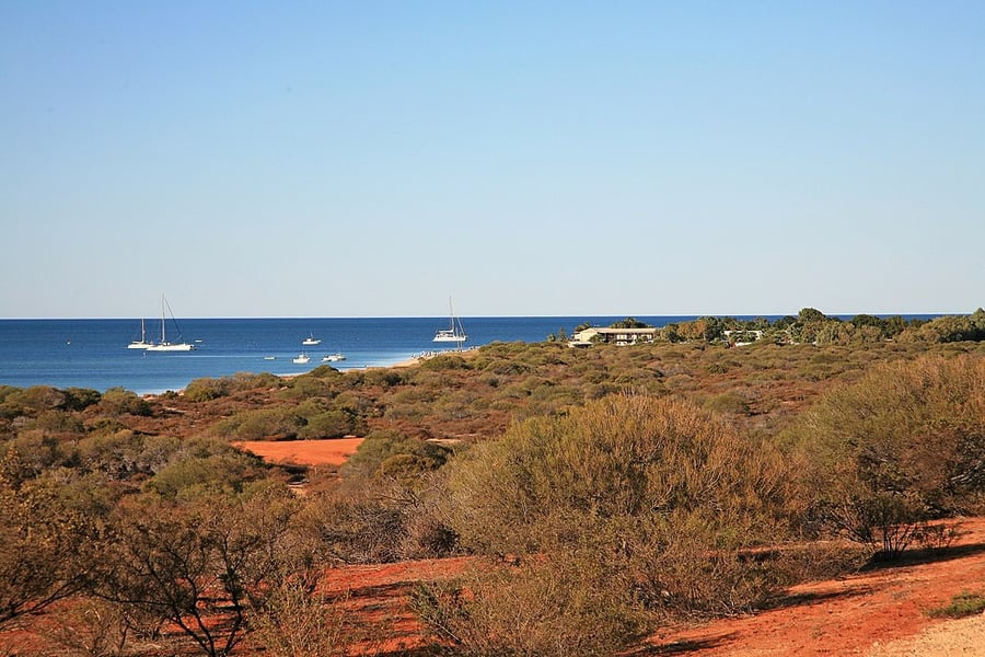 Shark Bay, Western Australia