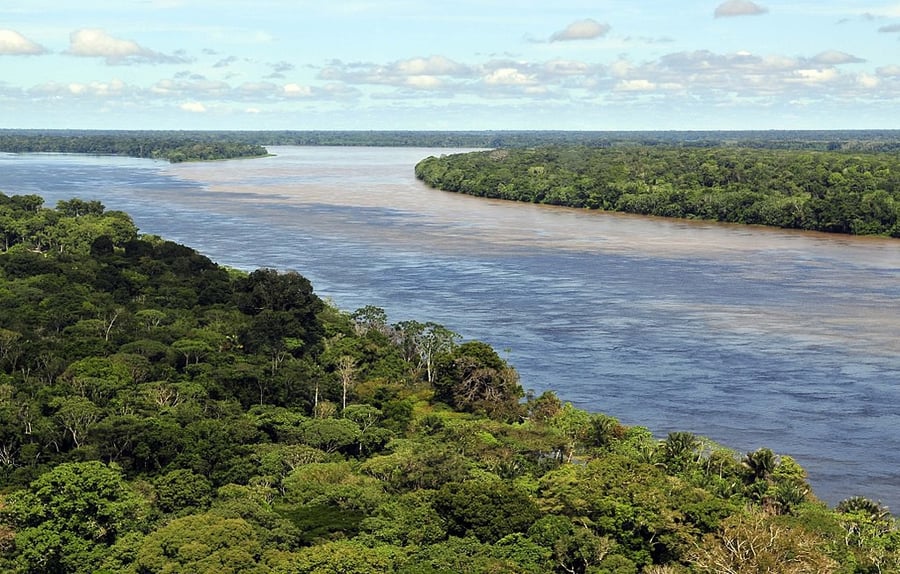 Central Amazon Conservation Complex