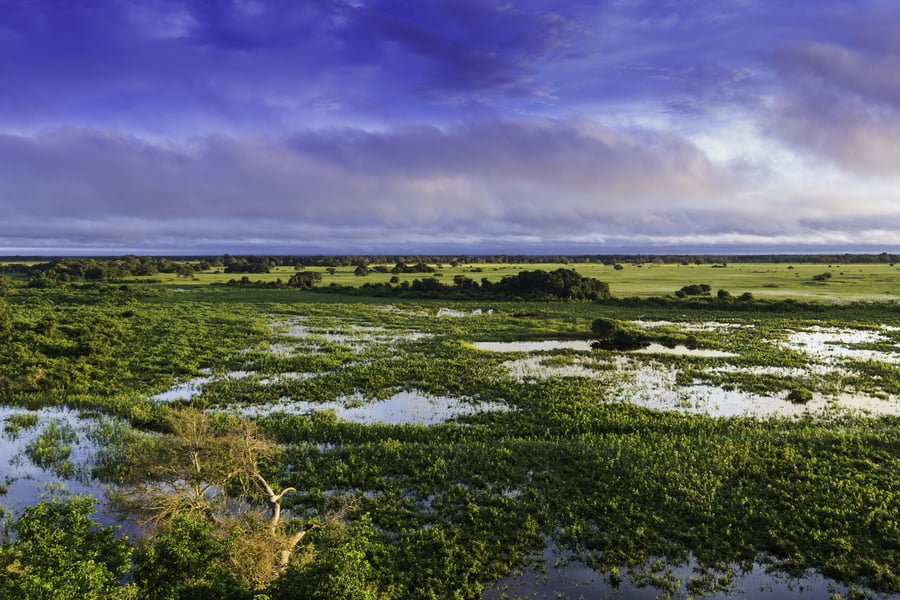 Pantanal Conservation Area