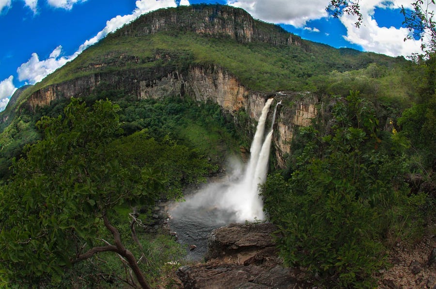 Cerrado Protected Areas: Chapada dos Veadeiros and Emas National Parks