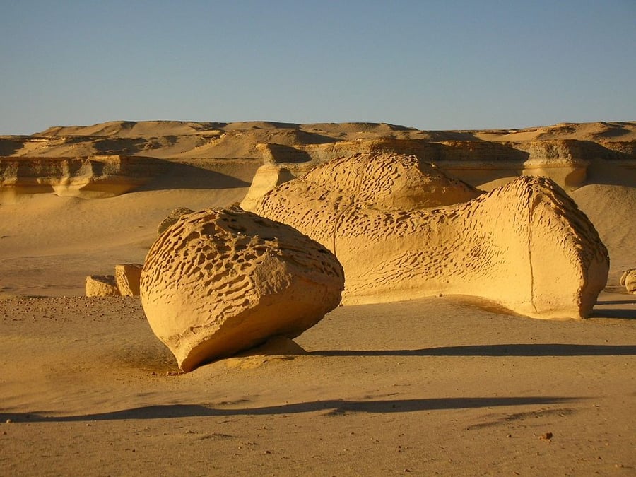 Wadi Al-Hitan (Whale Valley)