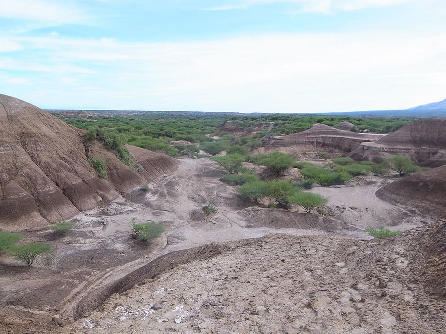Lower Valley of the Omo