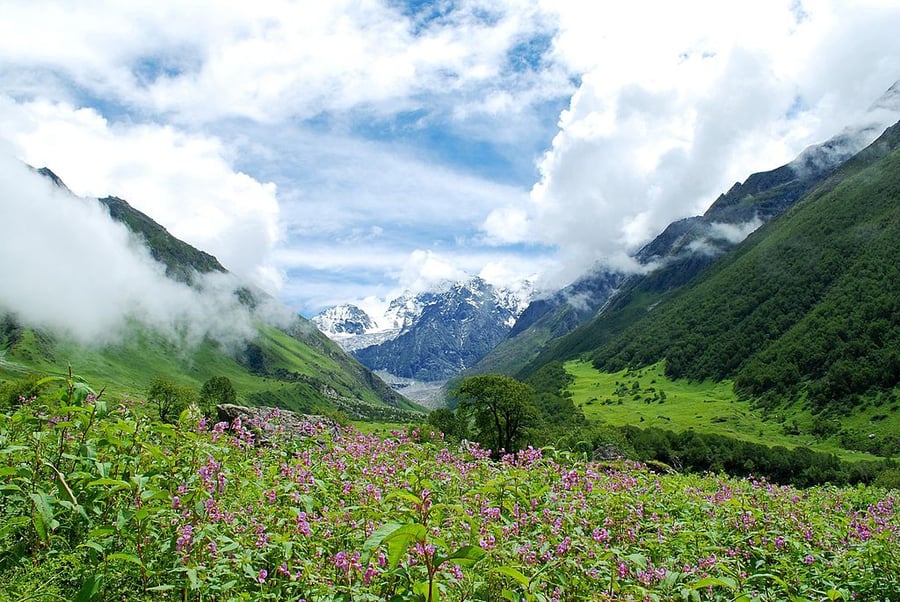 Nanda Devi and Valley of Flowers National Parks