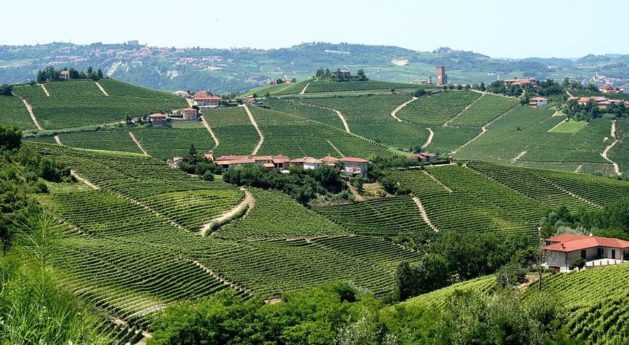 Vineyard Landscape of Piedmont: Langhe-Roero and Monferrato