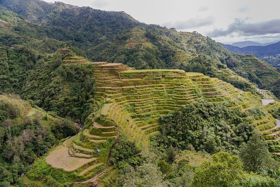 Rice Terraces of the Philippine Cordilleras