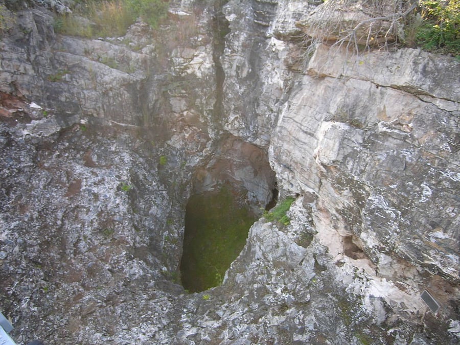 Fossil Hominid Sites of South Africa
