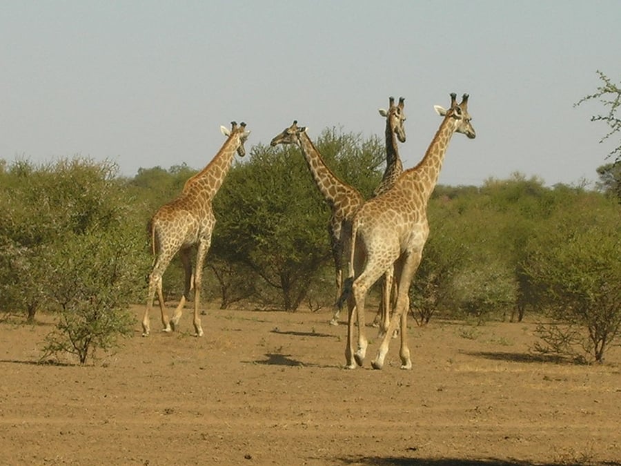 Mapungubwe Cultural Landscape