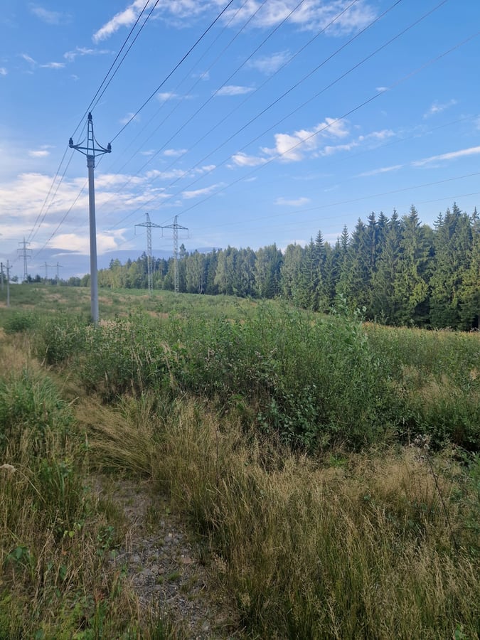 Přírodní lokalita Vatín Bartačky